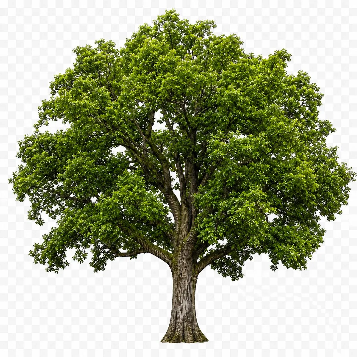 No. 100: E-commerce Main Image - Isolated Tree on Checkerboard — GPT Image 2 image prompt example
