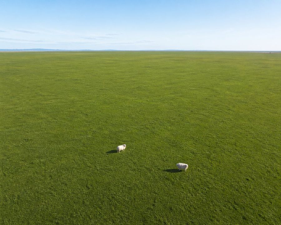 Aerial Drone Shot of an Expansive, Perfectly Flat, Vibrant Green — GPT Image 2 image prompt example