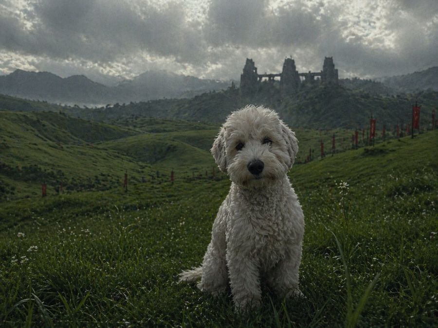 Can You Put My Girl Dog in the Movie Ran by Akira Kurosawa — GPT Image 2 image prompt example