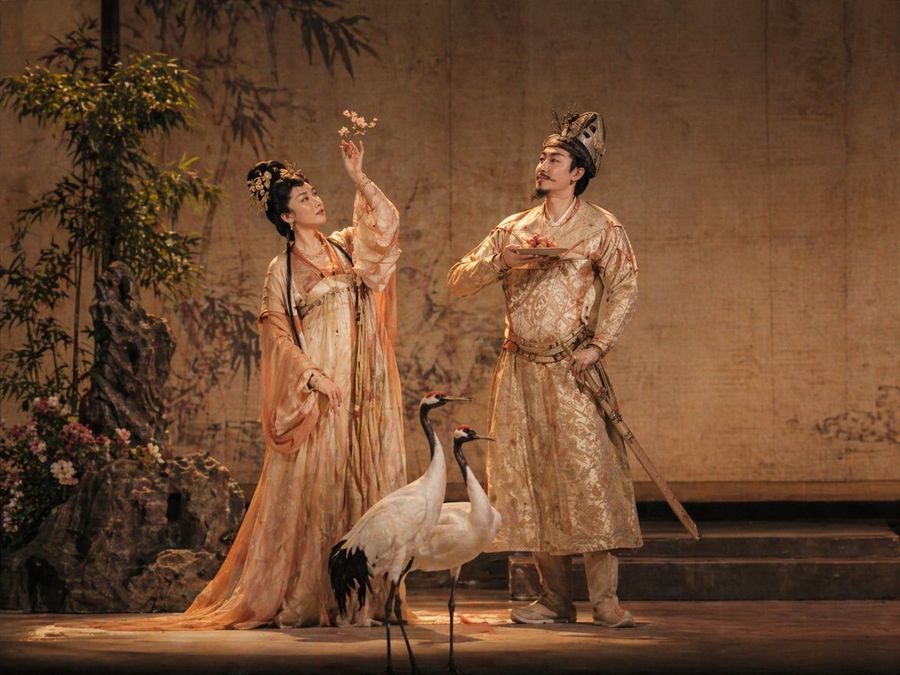 Real-life Realistic, Stage Scene — GPT Image 2 image prompt example
