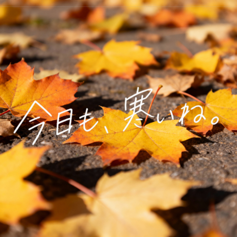 Warm, Shallow-depth-of-field Autumn Photograph of Multiple Fallen — GPT Image 2 image prompt example