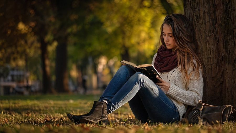 Autumn Park Reading Stock Photo — GPT Image 2 image prompt example