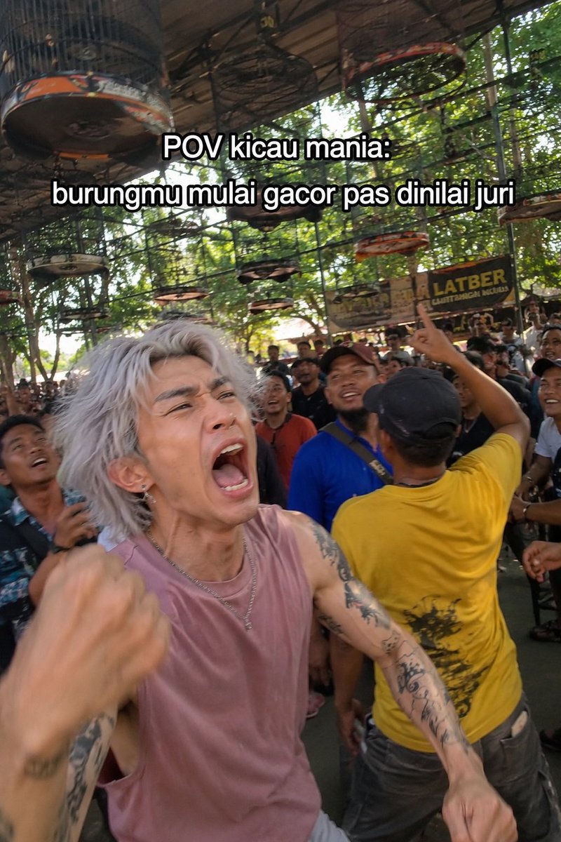 Bird Contest Meme Photo — GPT Image 2 image prompt example