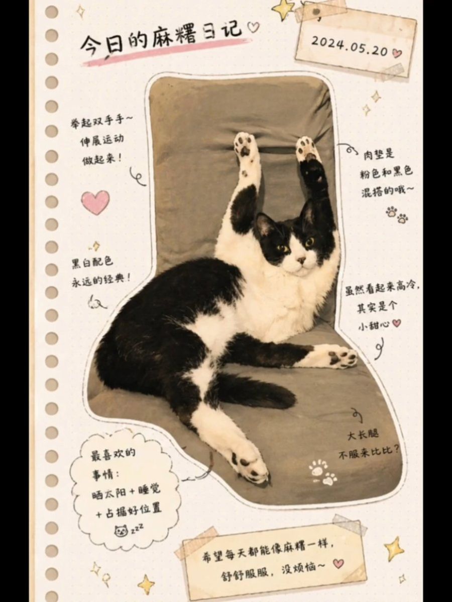Cat Journal Illustration Style — GPT Image 2 image prompt example