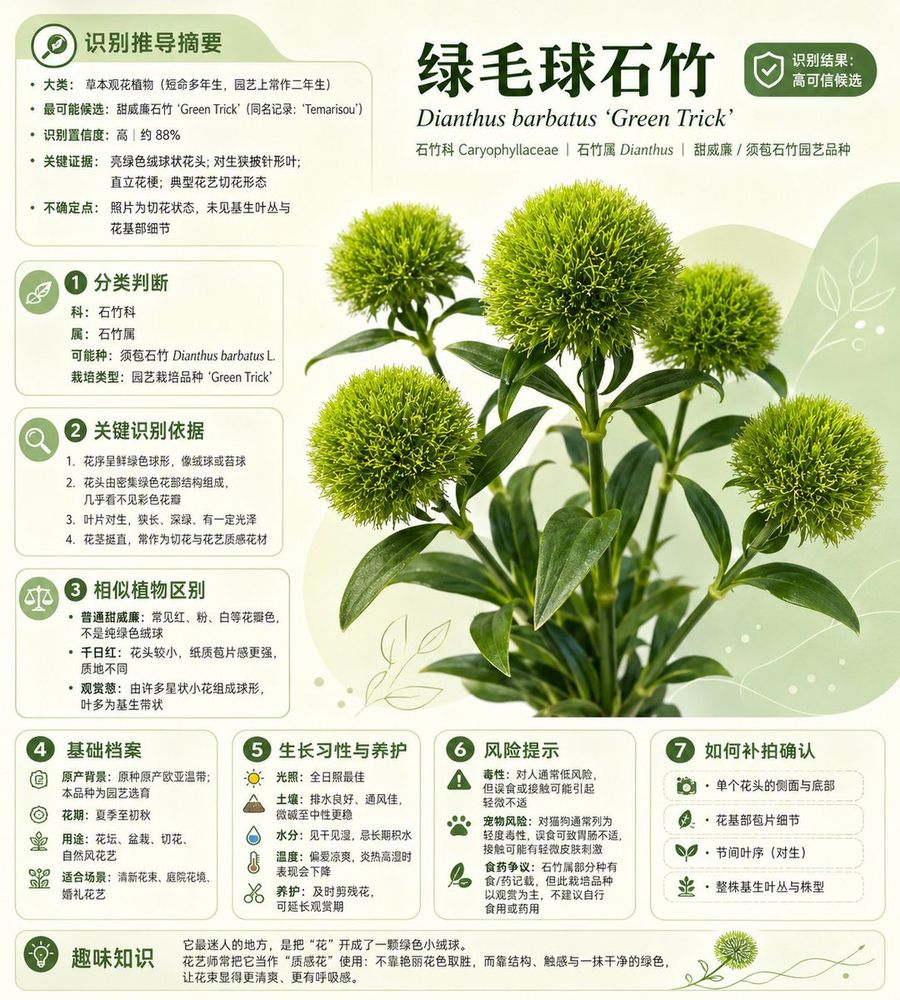 Chinese Plant Id Infographic — GPT Image 2 image prompt example