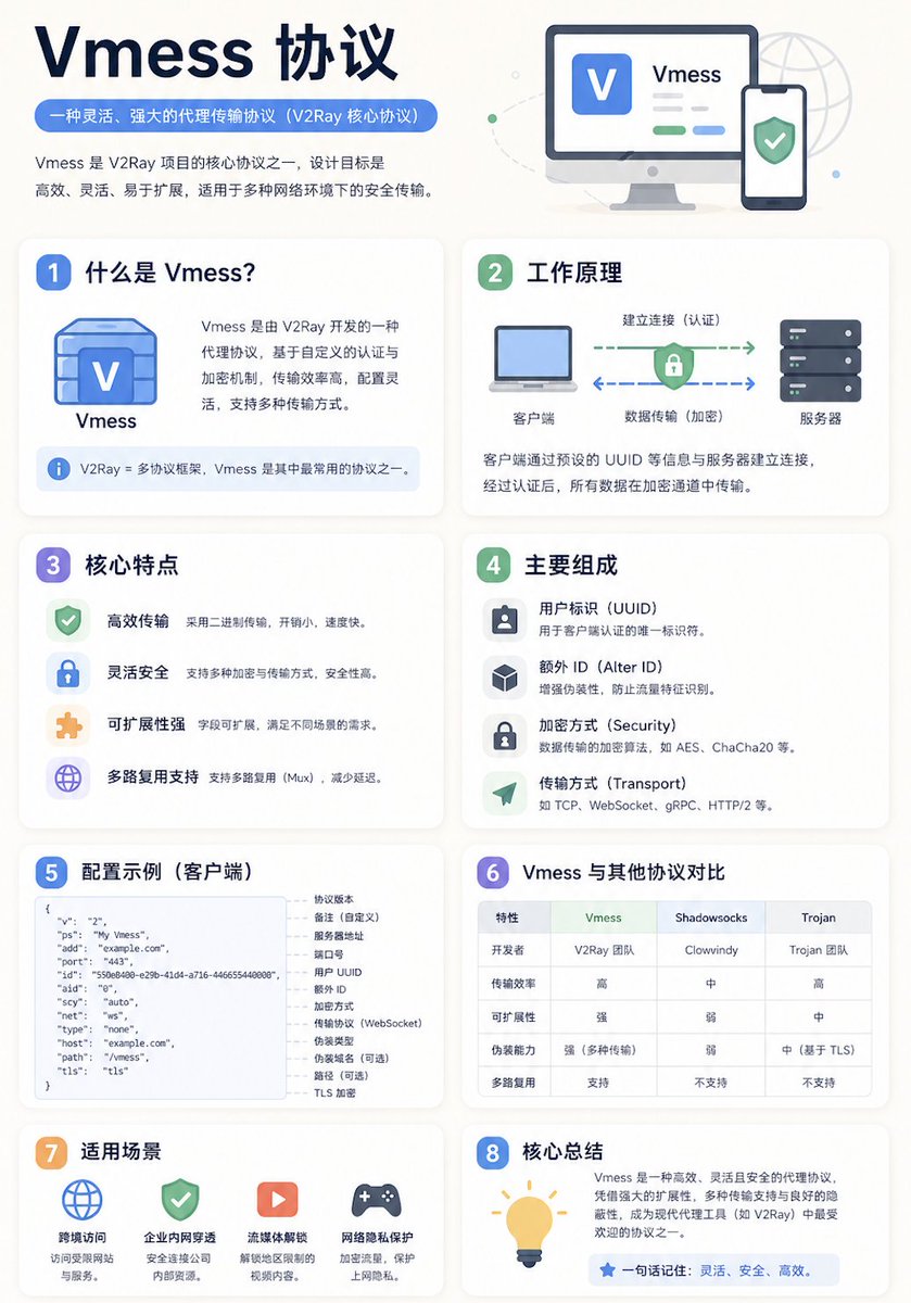 Chinese Vmess Protocol Infographic — GPT Image 2 image prompt example