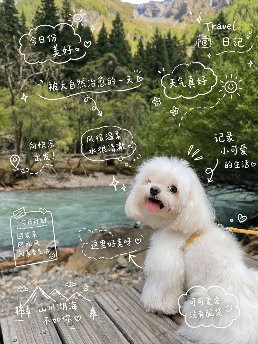 Dog Travel Diary Doodles — GPT Image 2 image prompt example