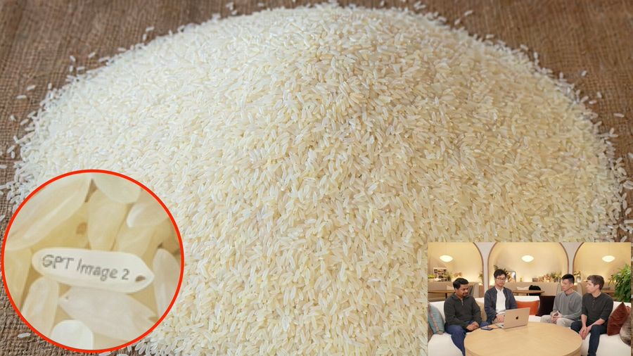 Engraved Rice Grain Callout — GPT Image 2 image prompt example