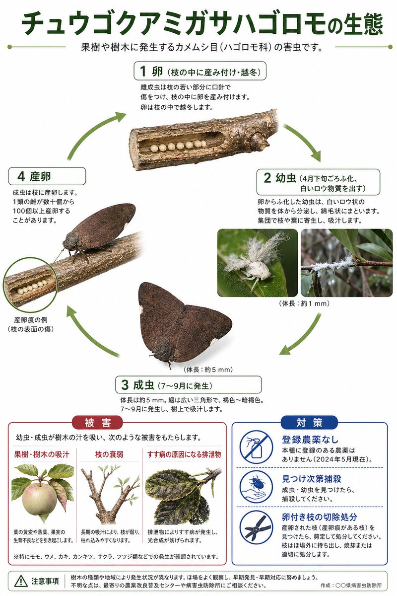 Japanese Pest Lifecycle Infographic — GPT Image 2 image prompt example