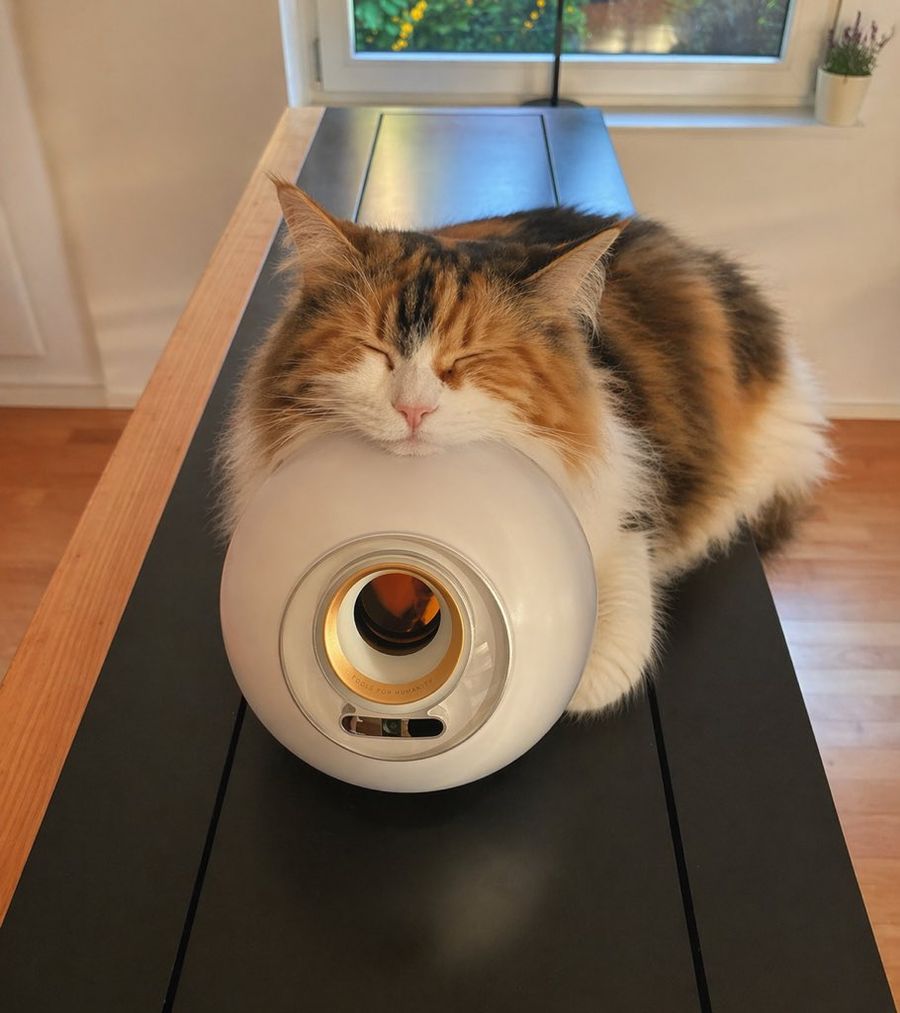 Sleeping Calico On White Appliance — GPT Image 2 image prompt example