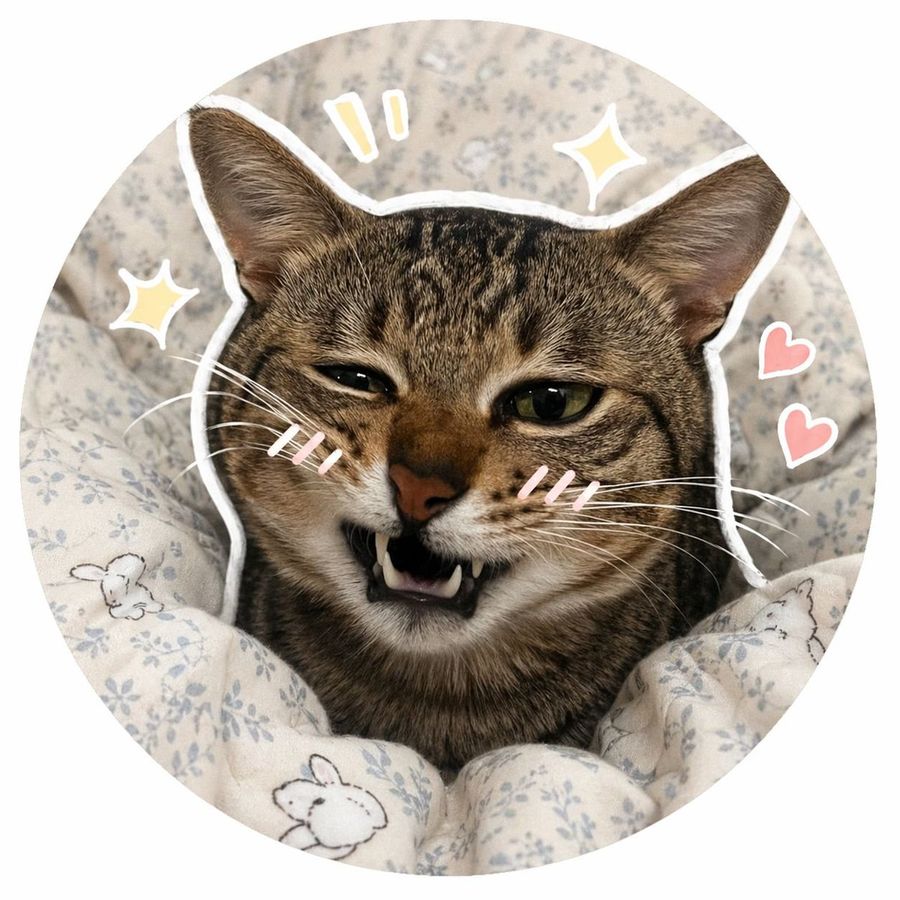 Social Media Pet Avatar Creator — GPT Image 2 image prompt example