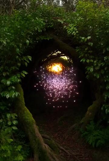 Mesmerizing Image of Thousands of Bioluminescent Fireflies Navigating — Grok Imagine video prompt example