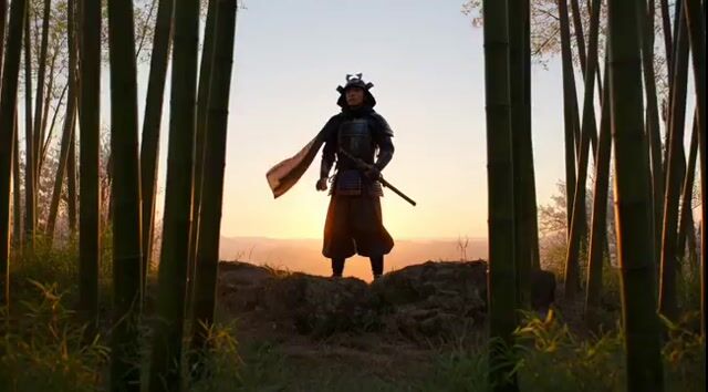 Cool Shot of a Lone Samurai Standing on a Misty Bamboo Forest Cliff — Grok Imagine video prompt example