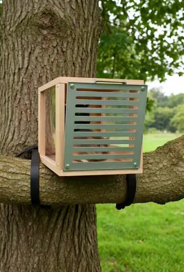 OXYGENLESS Trap Built for Rats That Sits in Trees Not Near Buildings — Grok Imagine video prompt example