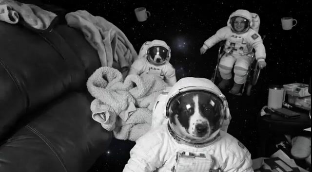 They Are Gently Floating Through Space, Subtly Happy and in Awe — Grok Imagine video prompt example