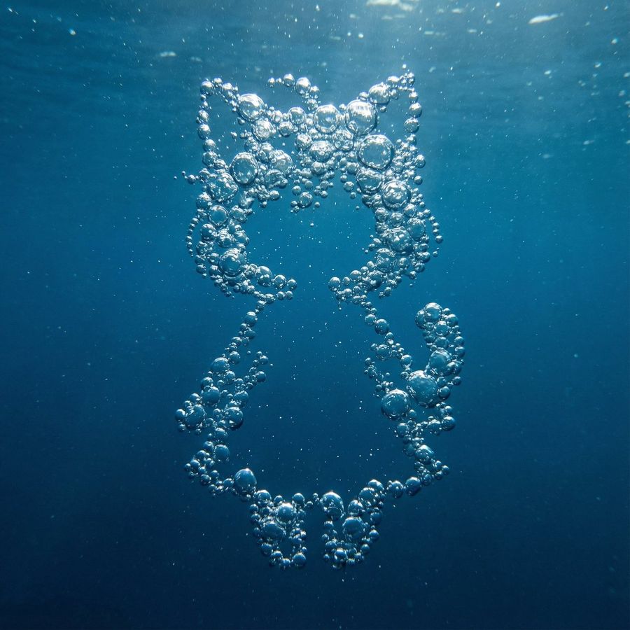Photograph Where a Cluster of Underwater Bubbles Forms the Silhouette — Nano Banana Pro image prompt example