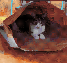 7533 — Nano Banana Pro image prompt example