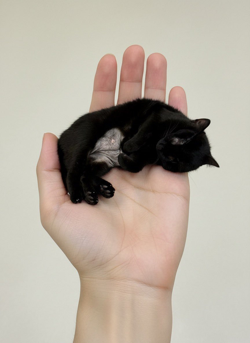 9403 — Nano Banana Pro image prompt example