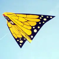 9966 — Nano Banana Pro image prompt example