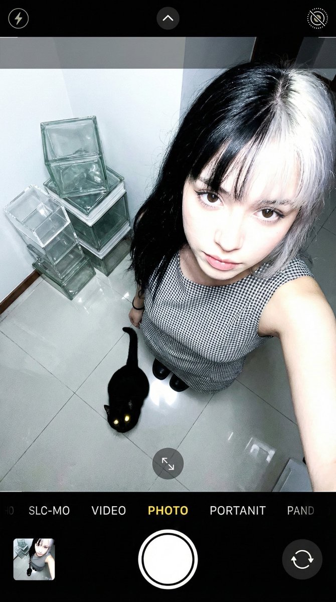 Overhead Smartphone Selfie With Black Cat — Nano Banana Pro image prompt example