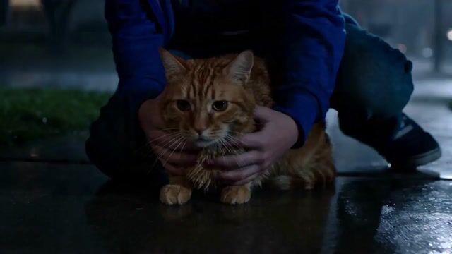 15 Second Microdrama Alien Cat Twist — Seedance 2.0 video prompt example