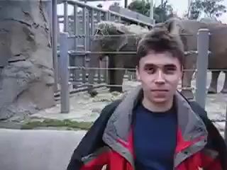 273 — Seedance 2.0 video prompt example