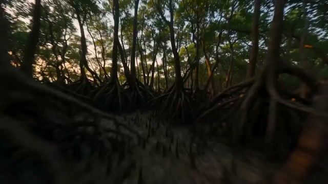 3453 — Seedance 2.0 video prompt example