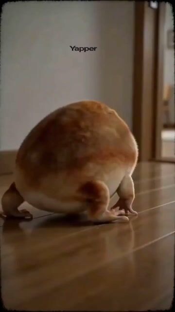 Absurd Cute Dog Video Prompt — Seedance 2.0 video prompt example