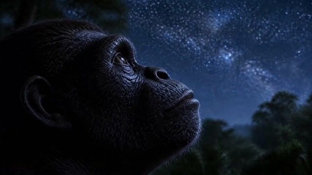 Ape To Human Evolution Transition — Seedance 2.0 video prompt example
