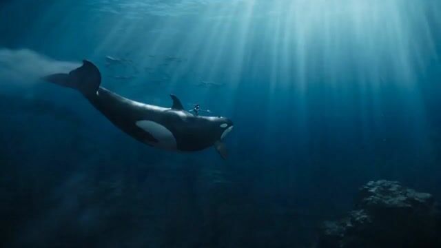 Aquatic Warrior Orca Ride — Seedance 2.0 video prompt example