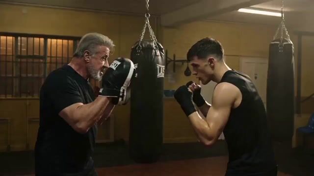 Boxing Training Montage — Seedance 2.0 video prompt example