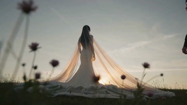 Comprehensive Wedding Photography Prompt — Seedance 2.0 video prompt example
