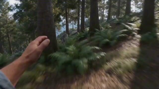 First Person Fpv Chase And Rescue By Cat Pirates — Seedance 2.0 video prompt example
