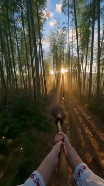 First Person Pov Flying Broomstick Video Generation — Seedance 2.0 video prompt example