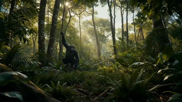 Human Evolution Hyper Lapse — Seedance 2.0 video prompt example