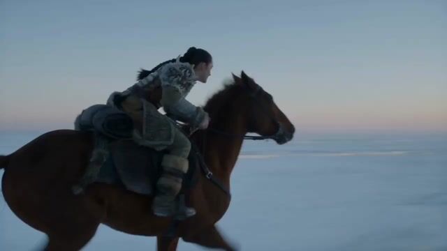 Ice Predator Hunt Frozen Grassland — Seedance 2.0 video prompt example