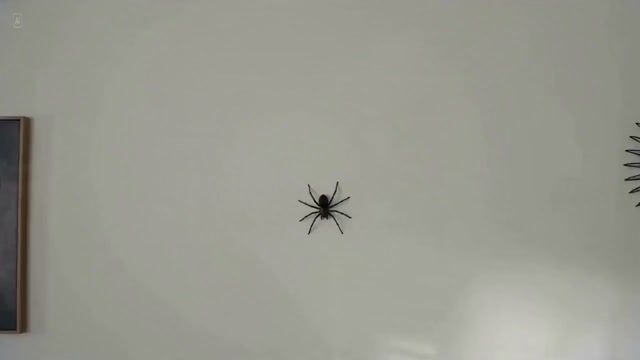 Mans Over The Top Reaction To A Spider — Seedance 2.0 video prompt example