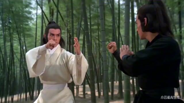 Shaw Brothers Style Fight Scene — Seedance 2.0 video prompt example